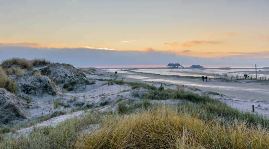 Urlaub mit Hund in St. Peter-Ording: Dein kompletter Guide für entspannte Ferien 9 Dünenlandschaft bei Sonnenuntergang mit Blick auf die Pfahlbauten in St. Peter-Ording.
