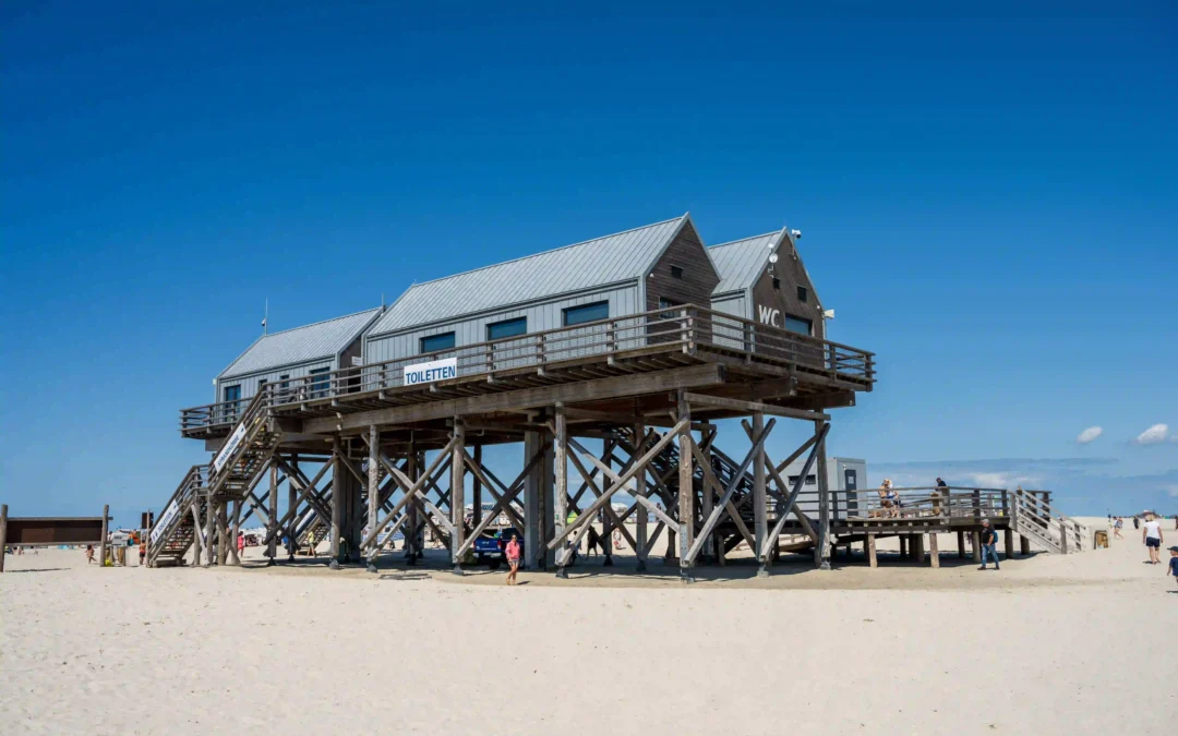 Urlaub mit Hund in St. Peter-Ording: Dein kompletter Guide für entspannte Ferien