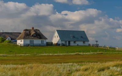 Hallig Hooge mit Hund erwandern: Traumhafte Rundwege