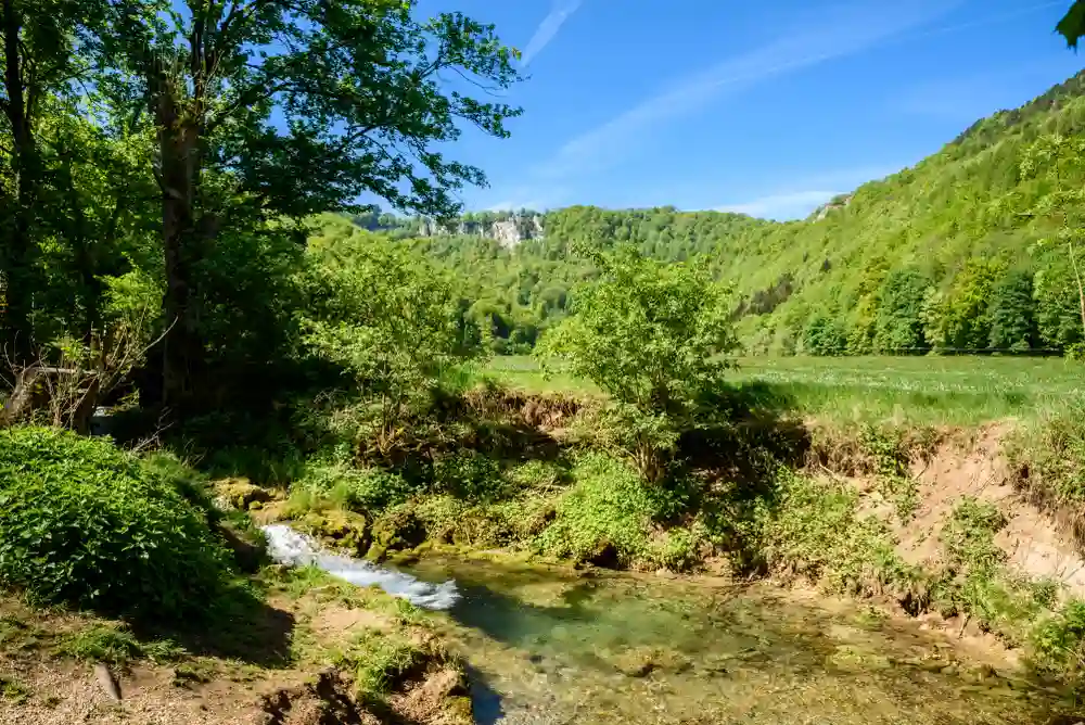 Wandern mit Hund am Uracher Wasserfall erleben 3 Ein malerischer Bach fließt durch eine grüne Wiesenlandschaft mit bewaldeten Hügeln im Hintergrund, nahe dem Uracher Wasserfall.