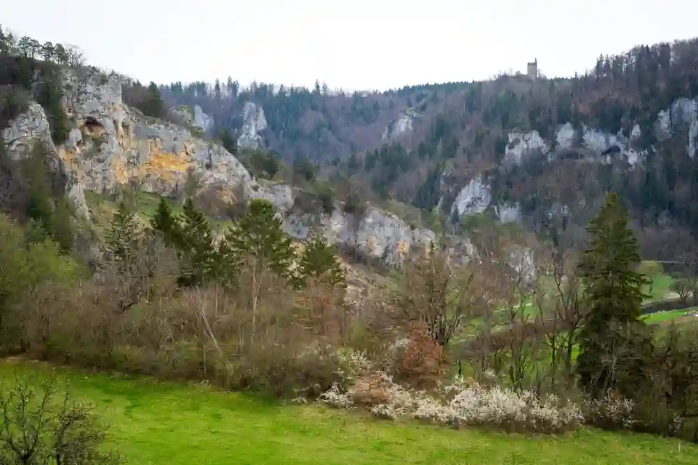 Wandern mit Hund im Oberen Donautal perfekt erleben 11 Eine weite Ansicht des Oberen Donautals mit einer grünen Wiese im Vordergrund, einem Wald mit verschiedenen Bäumen und Sträuchern, und felsigen Klippen sowie einer Burgruine auf einem Hügel in der Ferne.