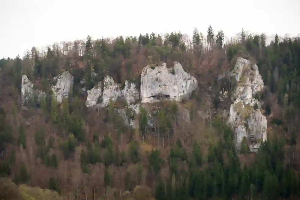 Wandern mit Hund im Oberen Donautal perfekt erleben 10 Ein Panorama des Oberen Donautals, das eine bewaldete Berglandschaft mit markanten, hellen Felsformationen zeigt, die aus den dunkleren Bäumen herausragen.