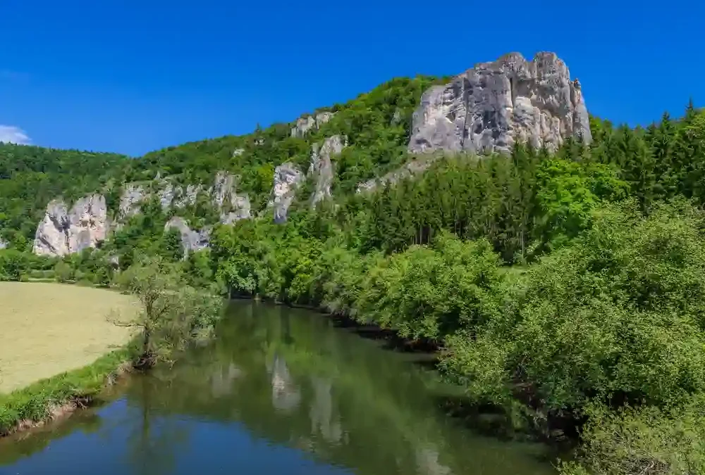 Wandern mit Hund im Oberen Donautal perfekt erleben
