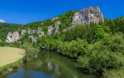 Blog 1 Wandern mit Hund im Oberen Donautal perfekt erleben