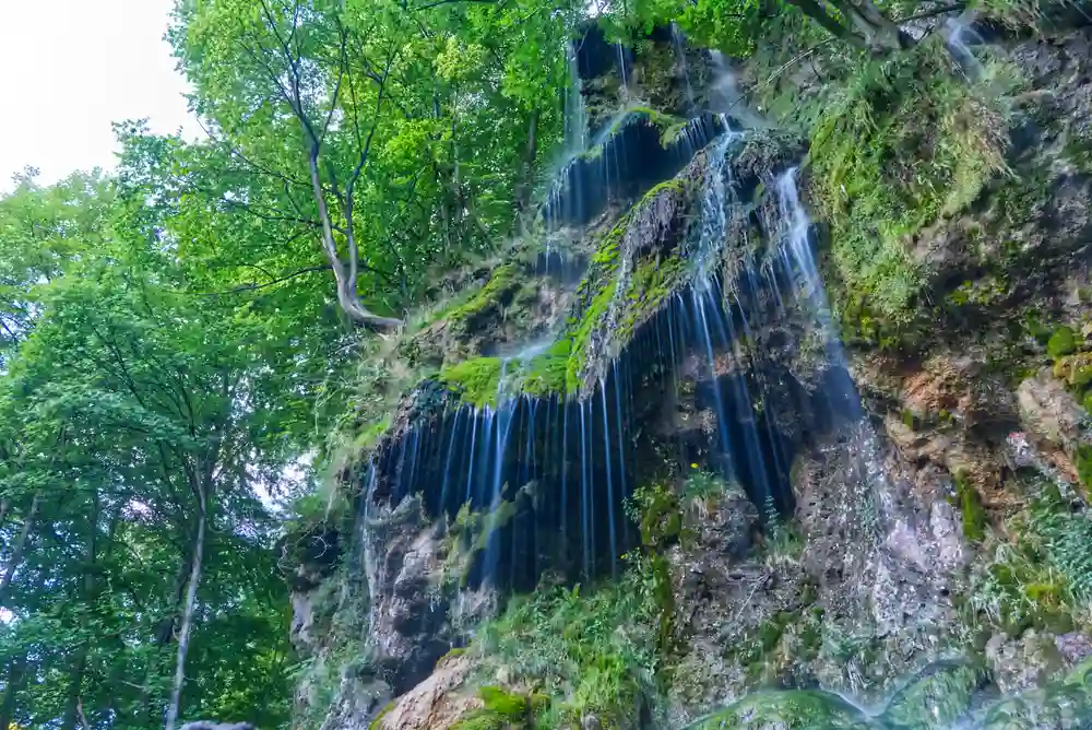 Wandern mit Hund am Uracher Wasserfall erleben 4 Der Uracher Wasserfall fällt in mehreren Strängen über eine steile, bemooste Felswand, umgeben von hohen Bäumen.