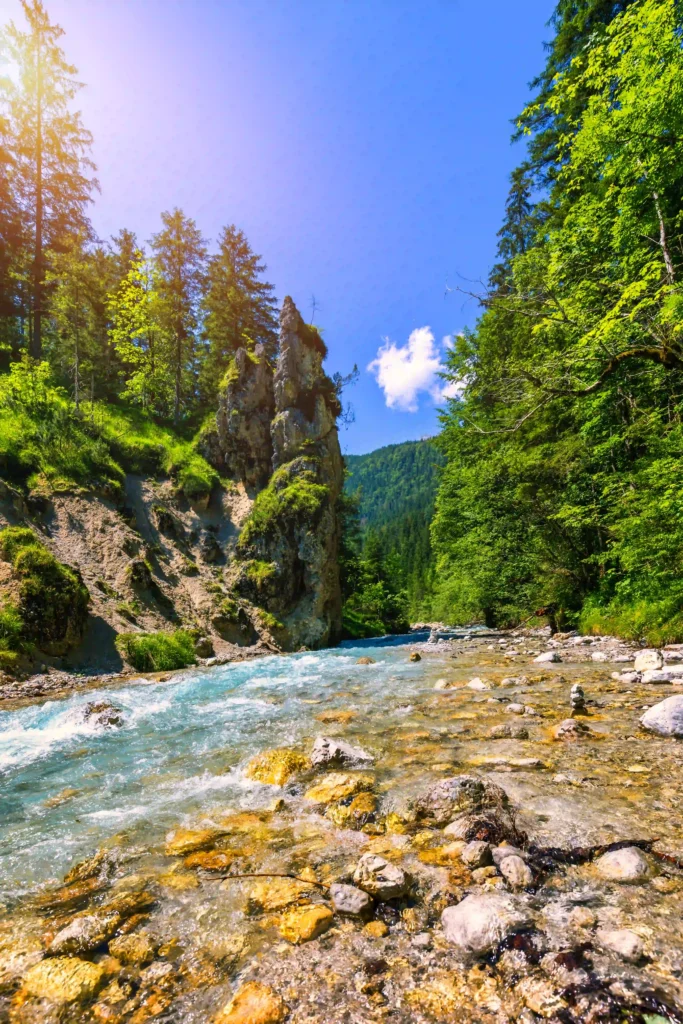 Wimbachgries Wandern: Perfekte Halbtageswanderung mit Hund im Nationalpark Berchtesgaden 5 Wimbachgries: Klares Gebirgswasser fließt durch eine bewaldete Schlucht mit imposantem Felsen