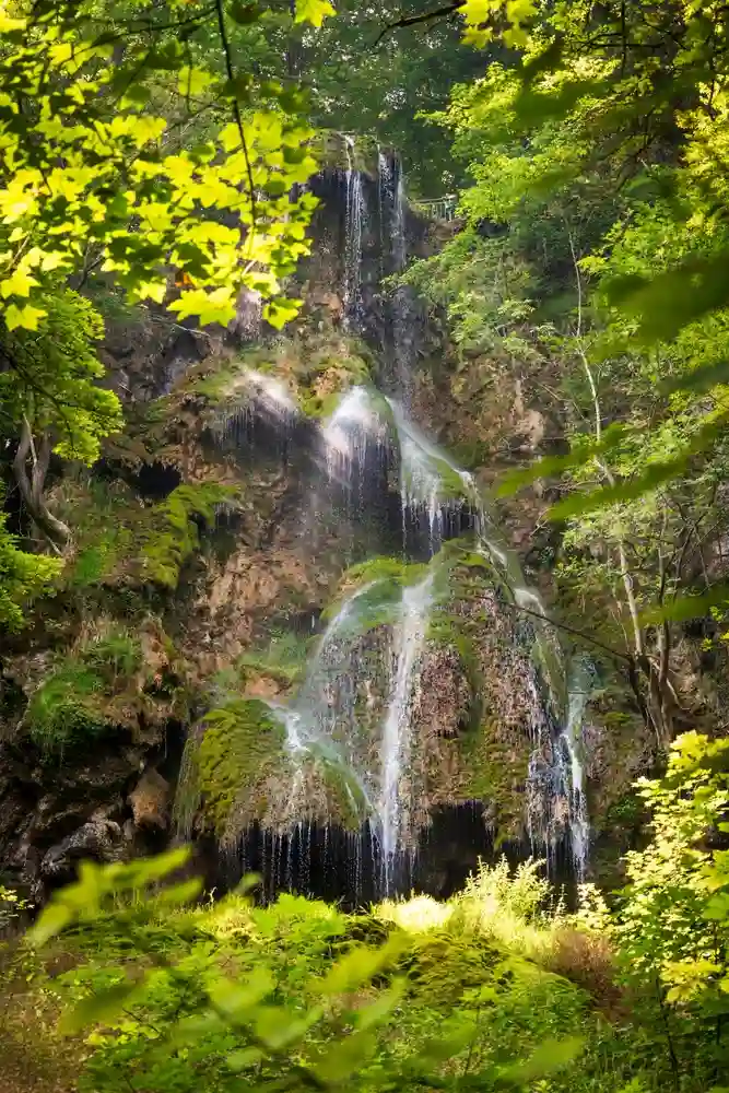 Wandern mit Hund am Uracher Wasserfall erleben 7 Der Uracher Wasserfall stürzt kaskadenartig über eine hohe, moosbewachsene Felswand inmitten üppig grüner Bäume und Vegetation.