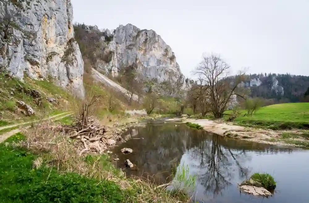 Wandern mit Hund im Oberen Donautal perfekt erleben 4 Ein Fluss schlängelt sich durch das Obere Donautal, umgeben von schroffen Felsen und kahlen Bäumen an einem bewölkten Tag.