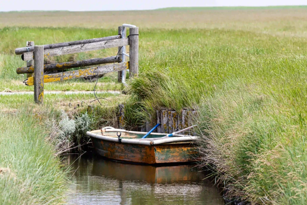 Hallig Hooge mit Hund erwandern: Traumhafte Rundwege 11 Ein kleines, verwittertes Boot ruht in einem schmalen Graben inmitten hoher grüner Gräser, neben einem rustikalen Holzzaun, was die ruhigen, wasserreichen Landschaften in der Nähe von Hallig Hooge illustriert.