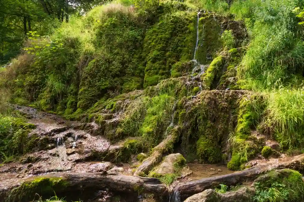Wandern mit Hund am Uracher Wasserfall erleben 6 Ein Wasserfall fließt über eine terrassierte, moosbewachsene Felsformation mit üppiger Vegetation am Uracher Wasserfall.