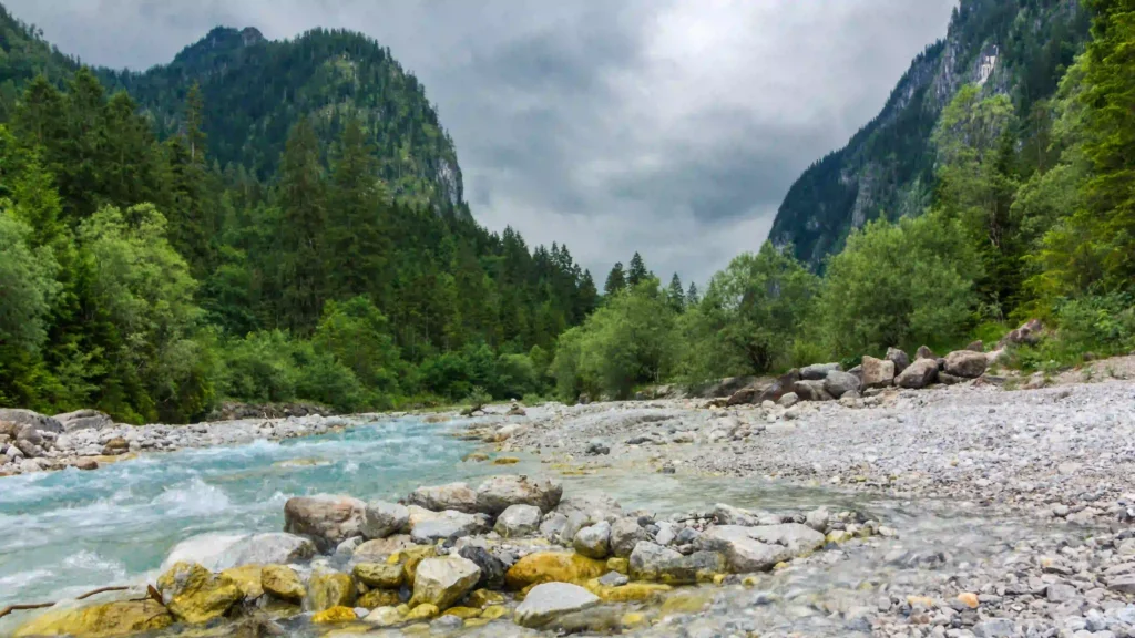 Wimbachgries Wandern: Perfekte Halbtageswanderung mit Hund im Nationalpark Berchtesgaden 4 Wimbachgries: Wildbach in einem breiten Tal, umgeben von dichten Wäldern und Bergen unter bewölktem Himmel