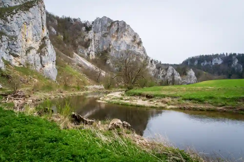 Wandern mit Hund im Oberen Donautal perfekt erleben 5 Ein Fluss fließt durch das Obere Donautal, gesäumt von Felsen und einer Mischung aus kahlen und grünen Bäumen an einem hellen, bewölkten Tag.