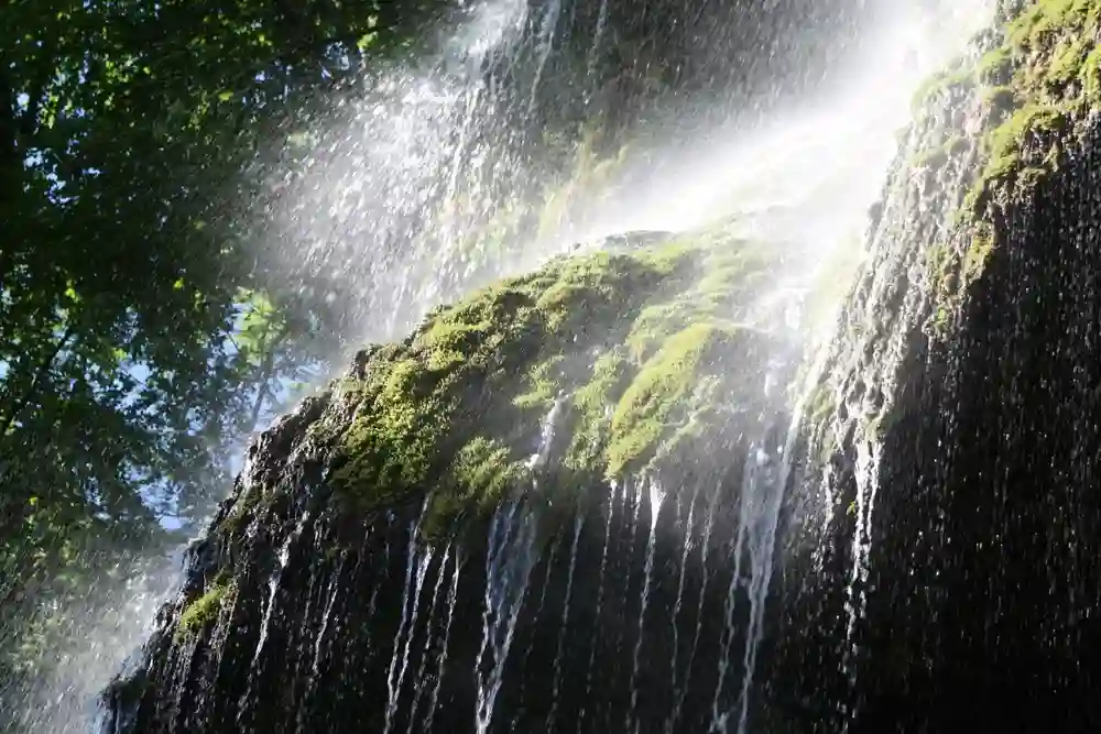 Wandern mit Hund am Uracher Wasserfall erleben 1 Nahaufnahme des Uracher Wasserfalls, wobei das Wasser über eine moosbewachsene Felswand in Sonnenlicht sprüht.