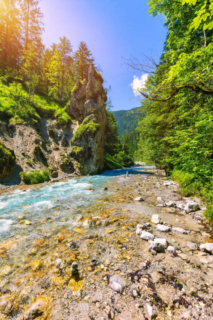 Wimbachgries Wandern: Perfekte Halbtageswanderung mit Hund im Nationalpark Berchtesgaden 1 Wimbachgries: Malerischer Gebirgsbach mit markanter Felsformation und üppiger Vegetation