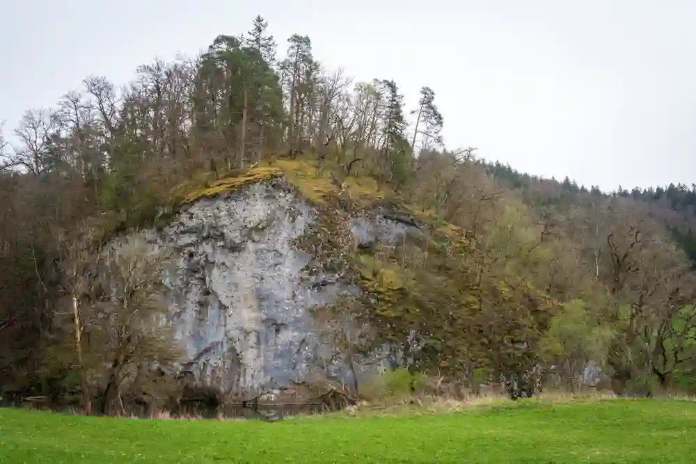 Wandern mit Hund im Oberen Donautal perfekt erleben 6 Ein großer Felsen, bewachsen mit Bäumen und Moos, ragt aus einer grünen Wiese im Oberen Donautal auf, unter einem grauen Himmel.