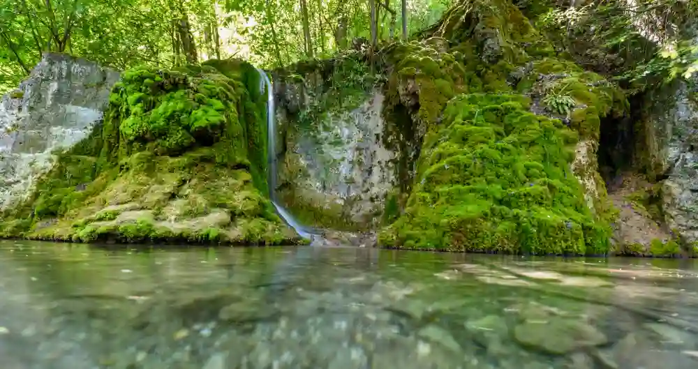 Wandern mit Hund am Uracher Wasserfall erleben 2 Ein kleinerer Wasserfall speist ein klares Becken, umgeben von moosbewachsenen Felsen und Bäumen, im Bereich des Uracher Wasserfalls.