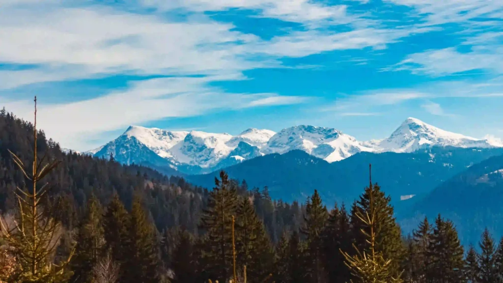 Berchtesgadener Land Wandern: Der ultimative Guide für Abenteuer mit deinem Hund 1 Winterliche Berglandschaft und Wälder im Berchtesgadener Land