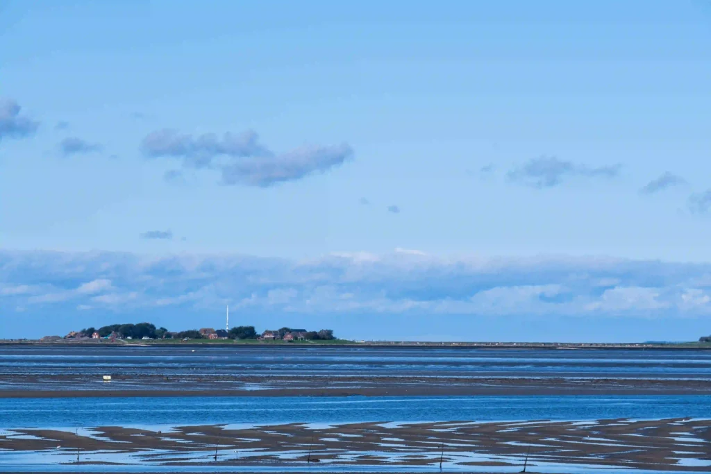 Hallig Hooge mit Hund erwandern: Traumhafte Rundwege 2 Eine Panoramaansicht eines ruhigen blauen Gewässers, wahrscheinlich des Wattenmeeres, mit weiten schlammigen Wattflächen, die bei Ebbe freigelegt sind, und einer fernen Hallig, wie Hallig Hooge, unter einem leicht bewölkten Himmel.