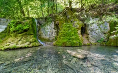Blog 2 Wandern mit Hund am Uracher Wasserfall erleben