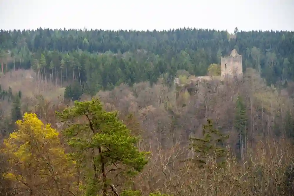 Wandern mit Hund im Oberen Donautal perfekt erleben 9 Eine alte Burgruine thront auf einem bewaldeten Hügel im Oberen Donautal, umgeben von kahlen Bäumen und einem dichten Wald im Hintergrund.