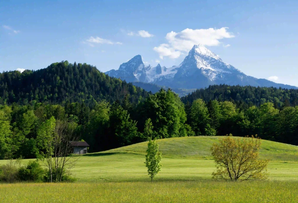Berchtesgadener Land Wandern: Der ultimative Guide für Abenteuer mit deinem Hund 7 Grüne Wiesen mit Watzmann-Blick im Berchtesgadener Land