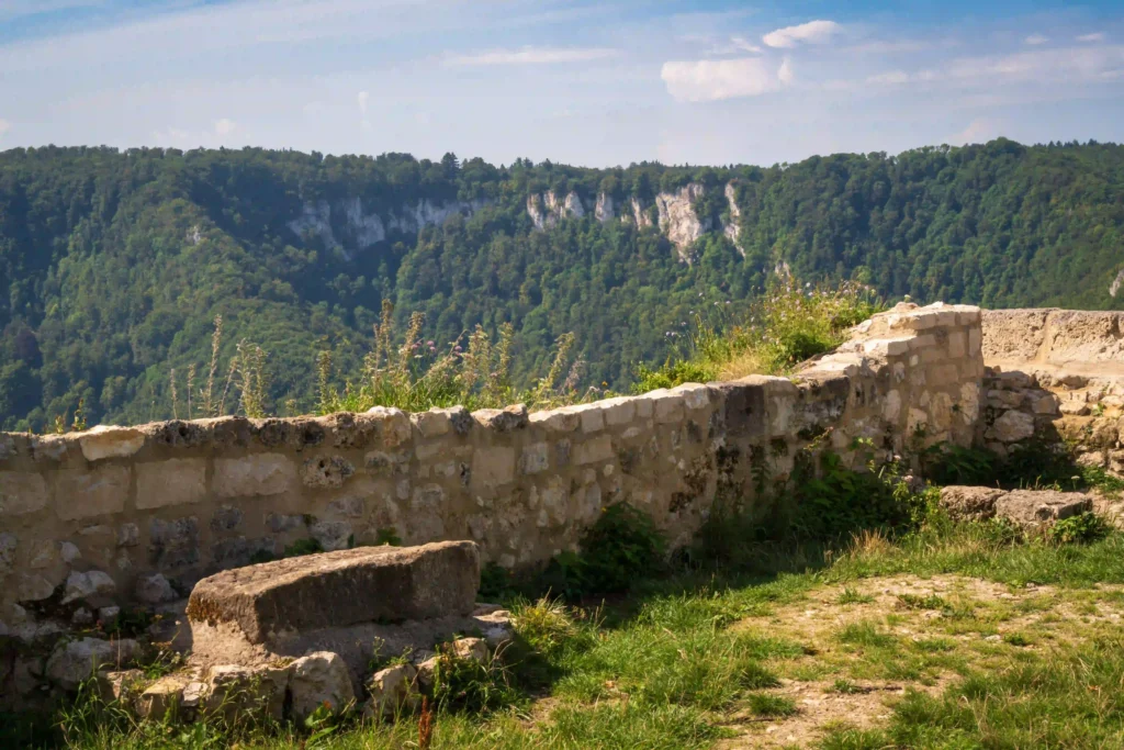 Wandern mit Hund an der Burg Hohenurach erleben 3 Eine Nahaufnahme der beeindruckenden Steinmauern und eines Rundturms der Burgruine Hohenurach, von unten nach oben fotografiert, mit teilweise erhaltenen Fensteröffnungen und dichten Büschen im Vordergrund.