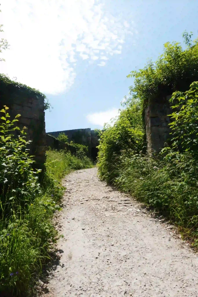 Wandern mit Hund an der Burg Hohenurach erleben 1 Ein schmaler, unbefestigter Weg, der durch bewachsene Mauerreste der Burg Hohenurach führt, unter einem hellblauen Himmel mit einigen Wolken.
