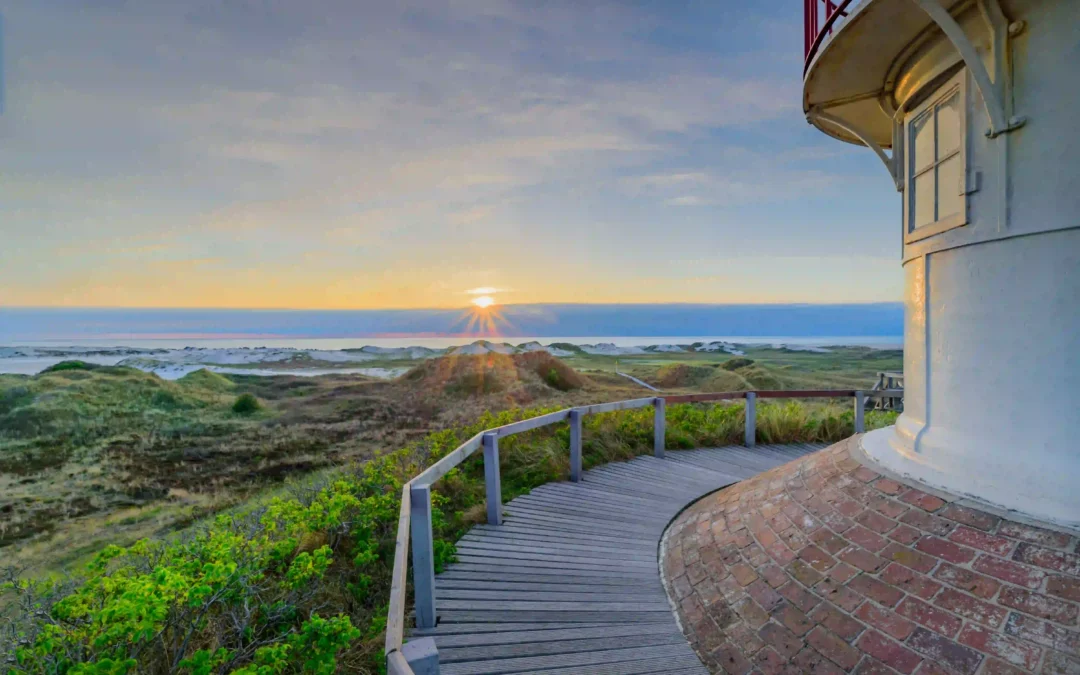 Amrum mit Hund: Perfekter Inselurlaub für Vierbeiner