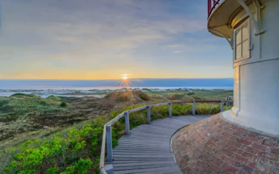 Amrum mit Hund: Perfekter Inselurlaub für Vierbeiner