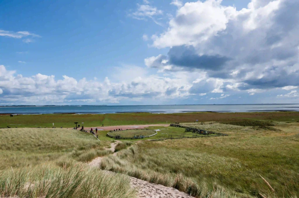 Amrum mit Hund: Perfekter Inselurlaub für Vierbeiner 7 Grüne Deichlandschaft und Salzwiesen mit Blick auf das Meer, perfekt für ausgedehnte Spaziergänge in Amrum mit Hund.
