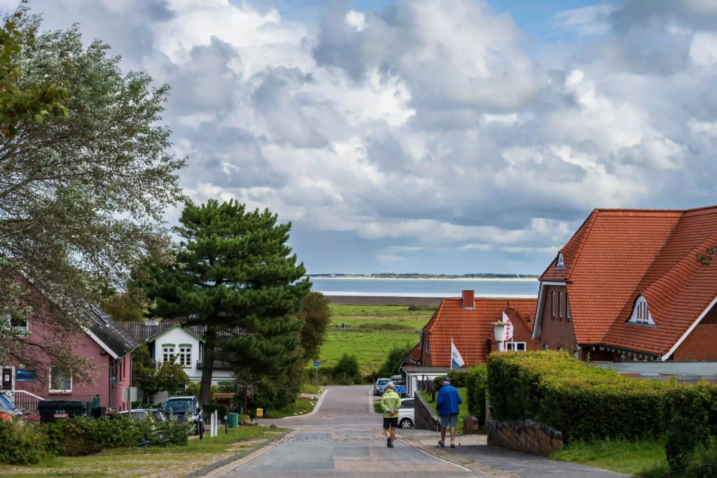 Amrum mit Hund: Perfekter Inselurlaub für Vierbeiner 9 Charmante Häuser am Deich mit Blick auf das Wattenmeer, ein ruhiger Ort für einen Urlaub in Amrum mit Hund.