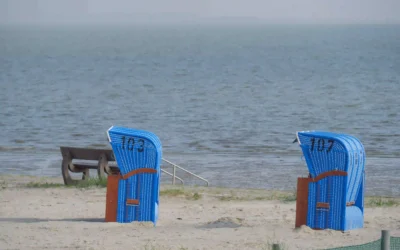 Baltrum mit Hund: Top Ausflugsziele & Tipps für deinen Urlaub