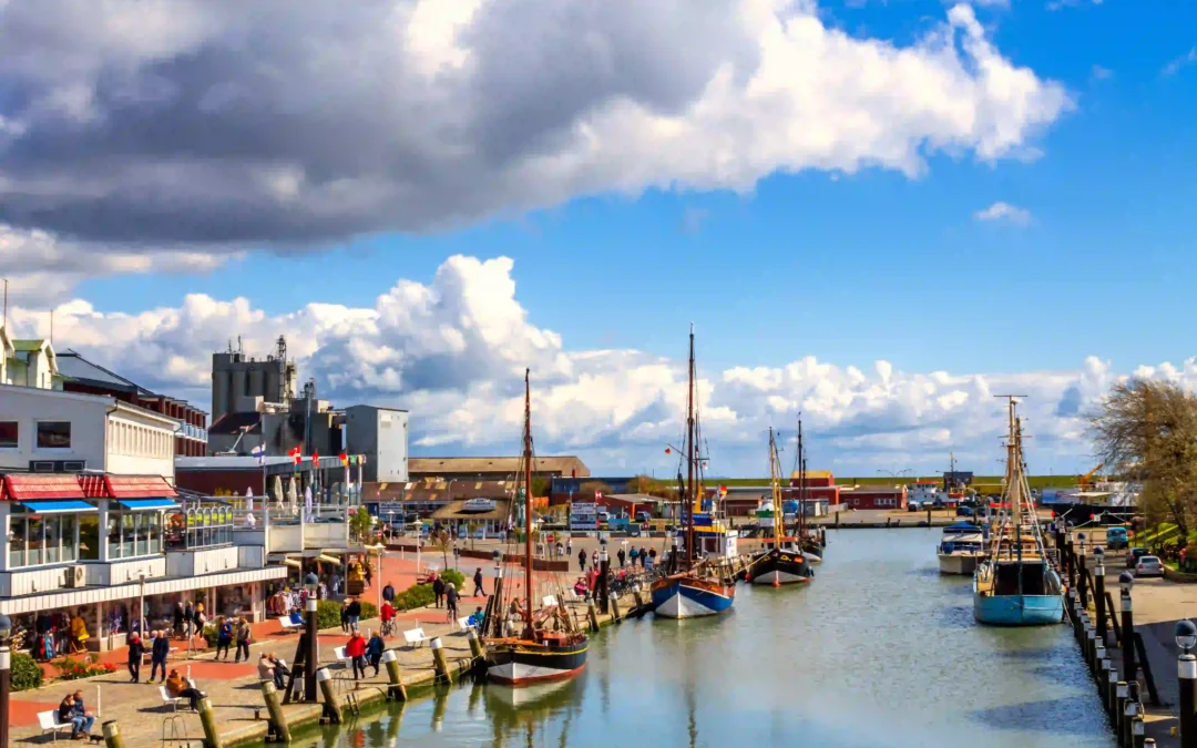Büsum mit Hund: Perfekter Nordsee-Urlaub mit Vierbeiner