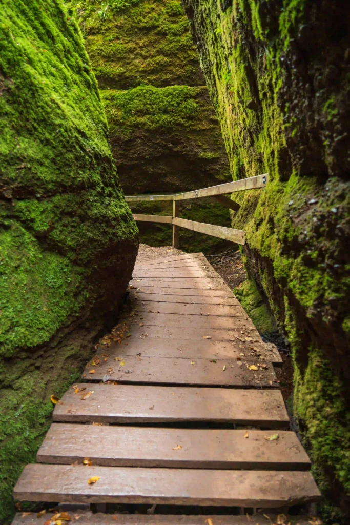 Drachenschlucht bei Eisenach: Abenteuerliche Wanderung mit Hund durch mystische Felsenwelt 2 "Metallgitter-Steg durch die Drachenschlucht Eisenach zwischen hohen moosigen Sandsteinfelsen"