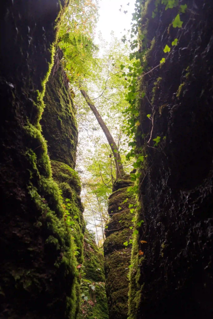 Drachenschlucht bei Eisenach: Abenteuerliche Wanderung mit Hund durch mystische Felsenwelt 3 Engste Stelle der Drachenschlucht bei Eisenach mit Metallgitter-Pfad durch die Felsspalte