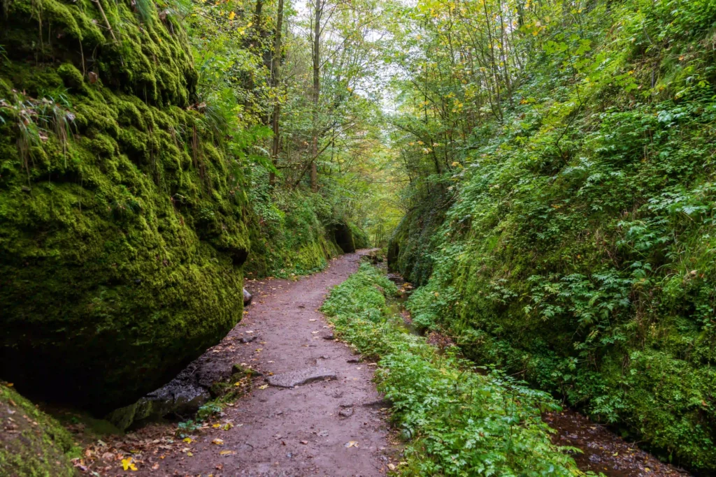 Drachenschlucht bei Eisenach: Abenteuerliche Wanderung mit Hund durch mystische Felsenwelt 8 Willkommensschild 'Die Drachenschlucht' am Wanderweg-Eingang bei Eisenach unter grünem Blätterdach