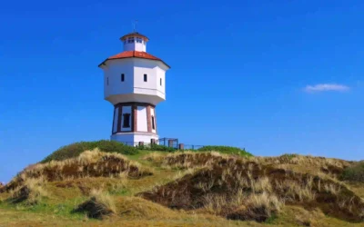 Langeoog mit Hund: dein Perfekter Inselurlaub mit Vierbeiner