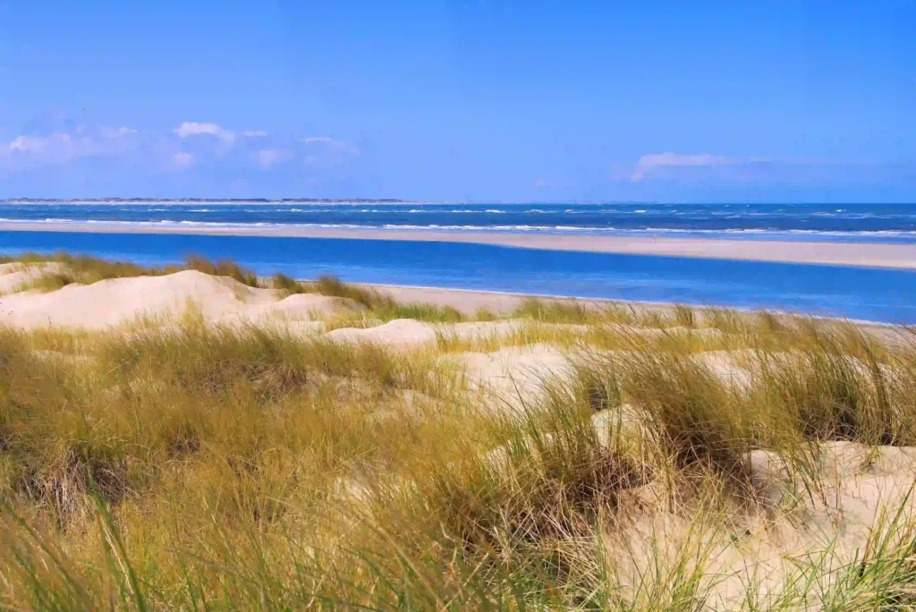 Langeoog mit Hund: dein Perfekter Inselurlaub mit Vierbeiner 3 Dünenlandschaft mit Blick auf das Meer und Priel auf Langeoog, eine vielseitige Natur für Spaziergänge auf Langeoog mit Hund.