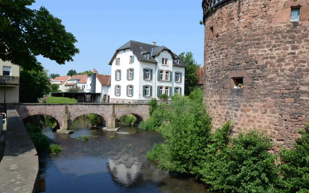Malerwinkel Königssee: Perfekter Ausflug mit Hund