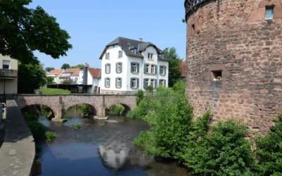 Malerwinkel Königssee: Perfekter Ausflug mit Hund