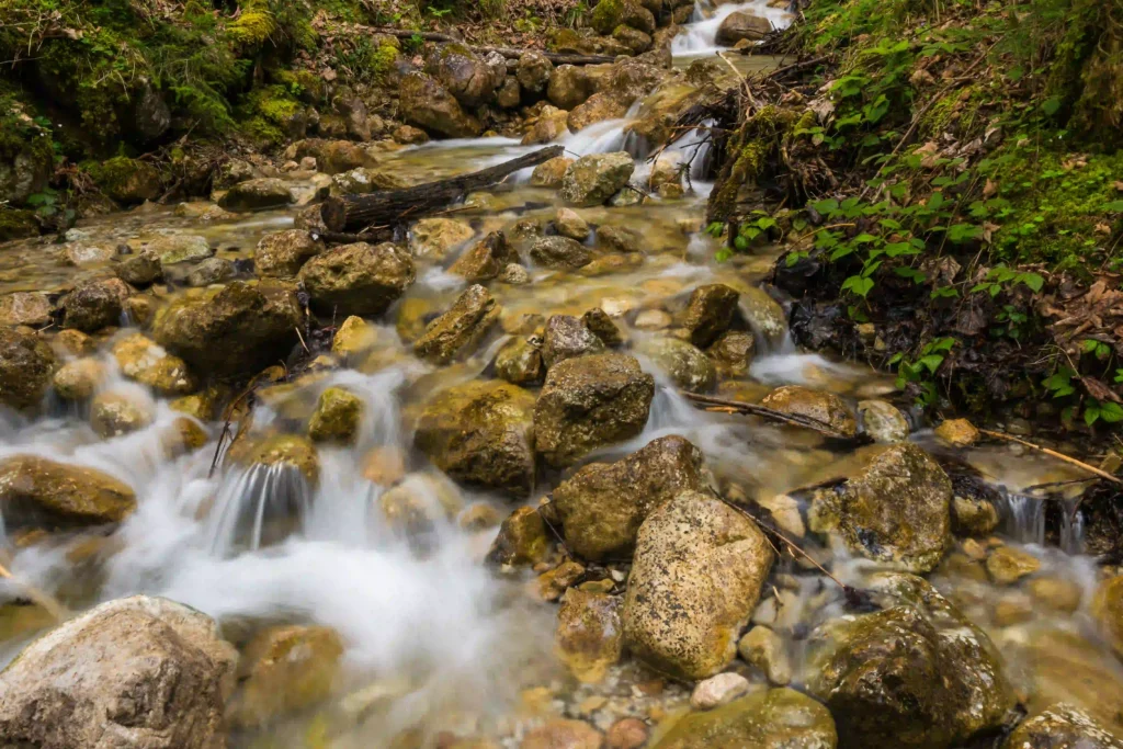 Malerwinkel Königssee: Perfekter Ausflug mit Hund 11 Sanfter Bach mit moosbedeckten Steinen und fallendem Ast im Malerwinkel am Königsee, aufgenommen mit Langzeitbelichtung.
