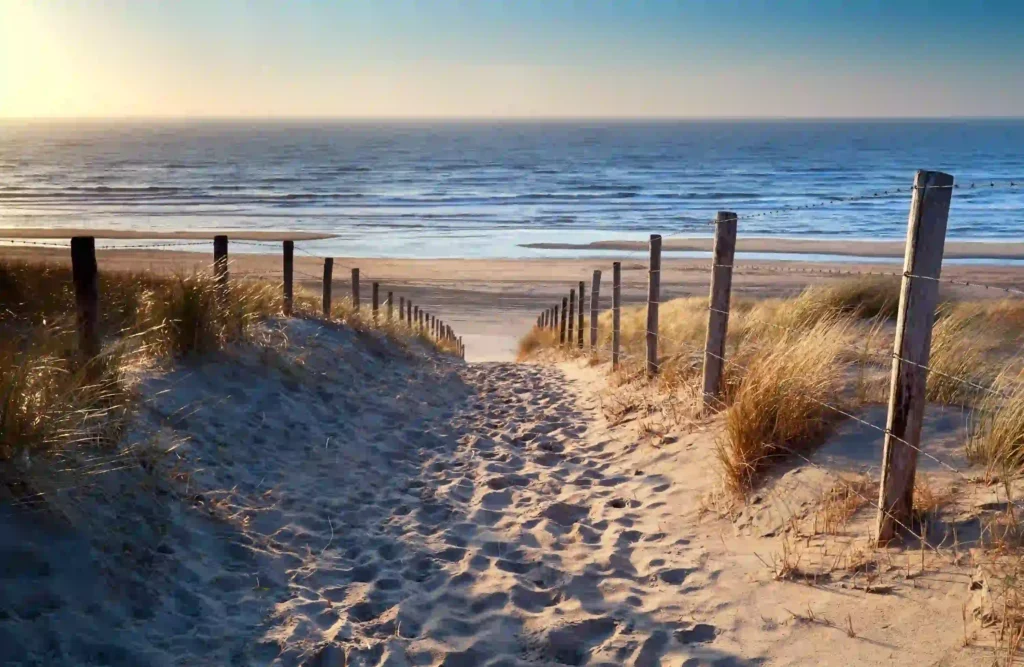 Nordsee mit Hund: Die besten Ausflugsziele für deinen Traumurlaub 1 Ein sandiger Pfad mit Holzpfosten und Seilen führt durch Dünen hinunter zum ruhigen Nordseestrand, perfekt für einen entspannten Tag mit dem Hund an der Nordsee.