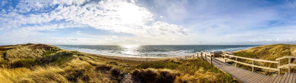 Nordsee mit Hund: Die besten Ausflugsziele für deinen Traumurlaub 7 Ein breiter Holzsteg führt über die Dünen zum weiten Sandstrand der Nordsee unter einem strahlend blauen Himmel, ideal für Spaziergänge mit Hund an der Nordsee.