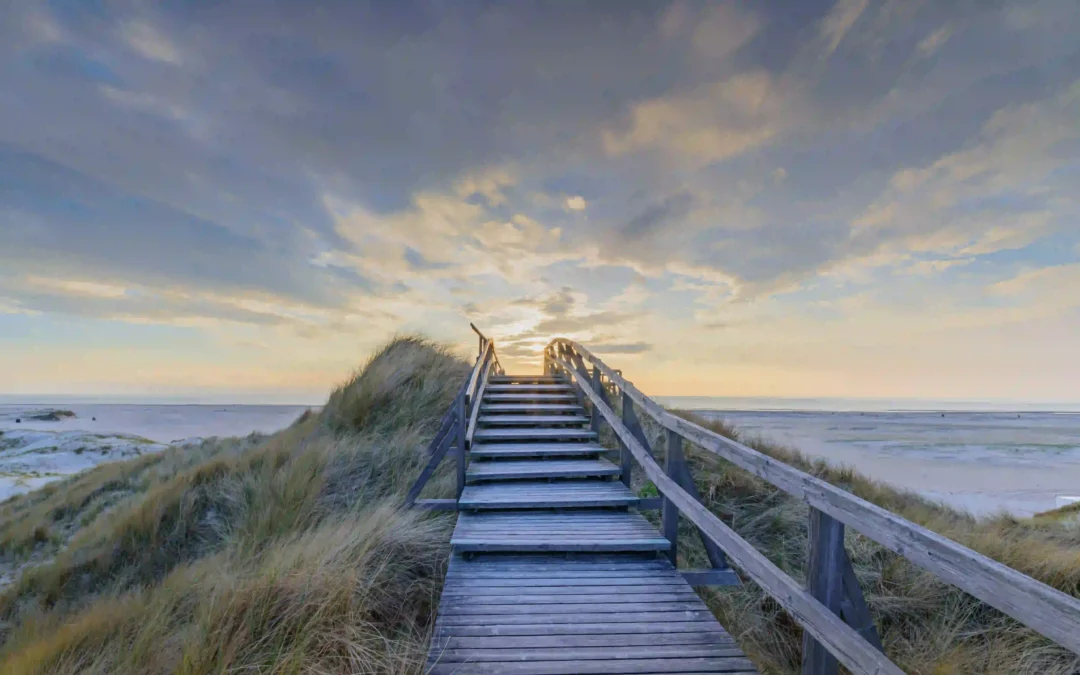 Nordsee mit Hund: Die besten Ausflugsziele für deinen Traumurlaub