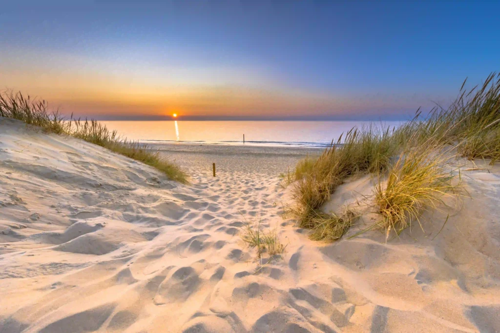 Nordsee mit Hund: Die besten Ausflugsziele für deinen Traumurlaub 9 Ein Spuren übersäter Sandweg führt über eine Düne zum Nordseestrand, wo die Sonne golden über dem Meer untergeht, ein wunderschöner Ort für Spaziergänge an der Nordsee mit Hund.