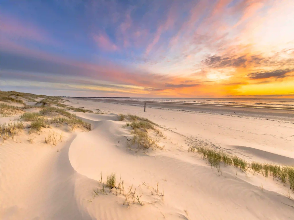 Nordsee mit Hund: Die besten Ausflugsziele für deinen Traumurlaub 8 Eine weite, unberührte Dünenlandschaft mit Gräsern erstreckt sich zum Nordseestrand unter einem dramatischen Sonnenuntergangshimmel, perfekt für endlose Freilaufmöglichkeiten an der Nordsee mit Hund.