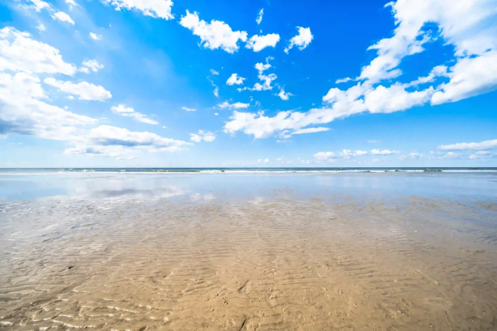 Nordsee mit Hund: Die besten Ausflugsziele für deinen Traumurlaub 5 Eine spiegelglatte Fläche des Nordseewatts bei Ebbe reflektiert den blauen Himmel mit weißen Wolken, ein weitläufiger Raum zum Spielen und Entdecken an der Nordsee mit Hund.