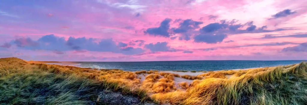 Nordsee mit Hund: Die besten Ausflugsziele für deinen Traumurlaub 6 Eine spiegelglatte Fläche des Nordseewatts bei Ebbe reflektiert den blauen Himmel mit weißen Wolken, ein weitläufiger Raum zum Spielen und Entdecken an der Nordsee mit Hund. Sylt