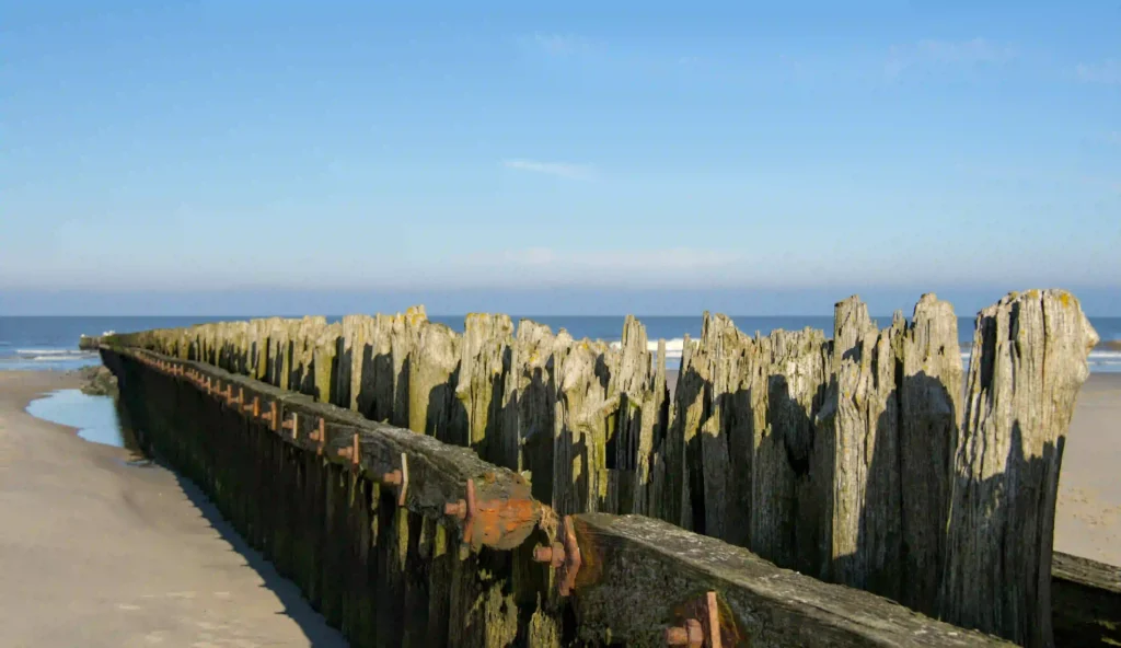 Norderney mit Hund: Top Wanderungen & Ausflugsziele an der Nordsee 9 Eine lange Reihe verwitterter Holzpfähle erstreckt sich am Strand von Norderney, das Meer im Hintergrund – ein charakteristisches Bild der Küste, das man mit Hund erkunden kann.