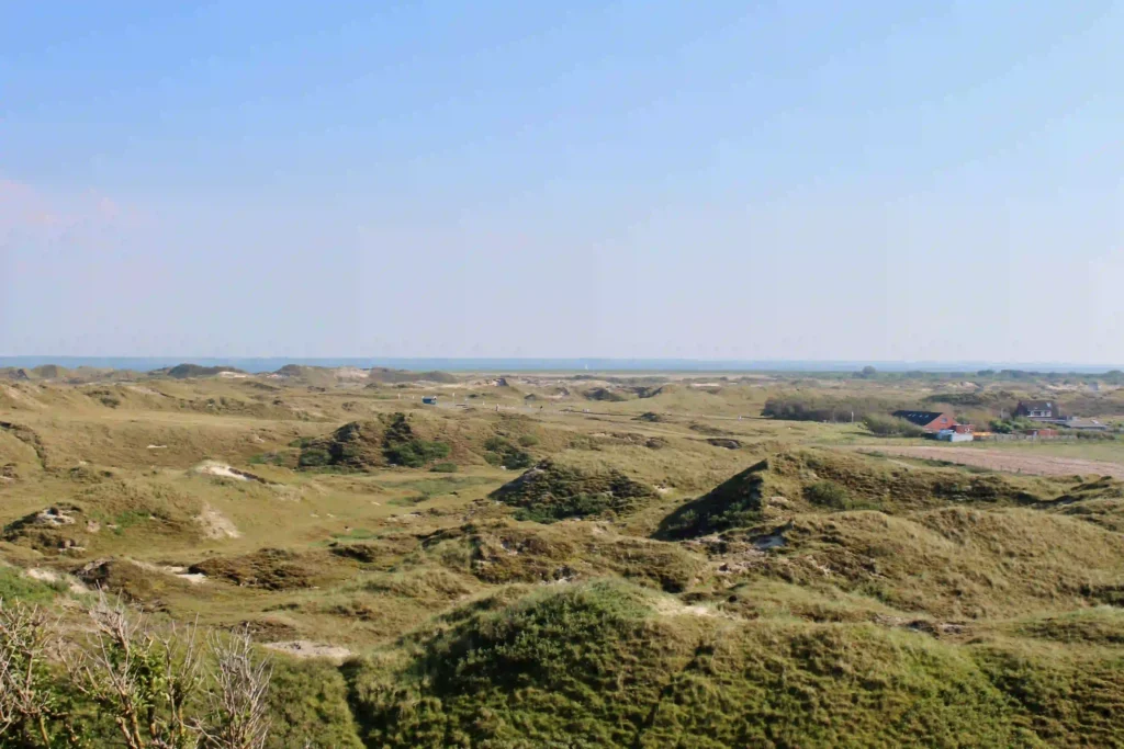 Norderney mit Hund: Top Wanderungen & Ausflugsziele an der Nordsee 3 Eine weite, hügelige Dünenlandschaft von Norderney mit vereinzelt sichtbaren Häusern und dem Horizont des Meeres in der Ferne – perfekt für ausgedehnte Erkundungstouren mit Ihrem Hund auf Norderney.
